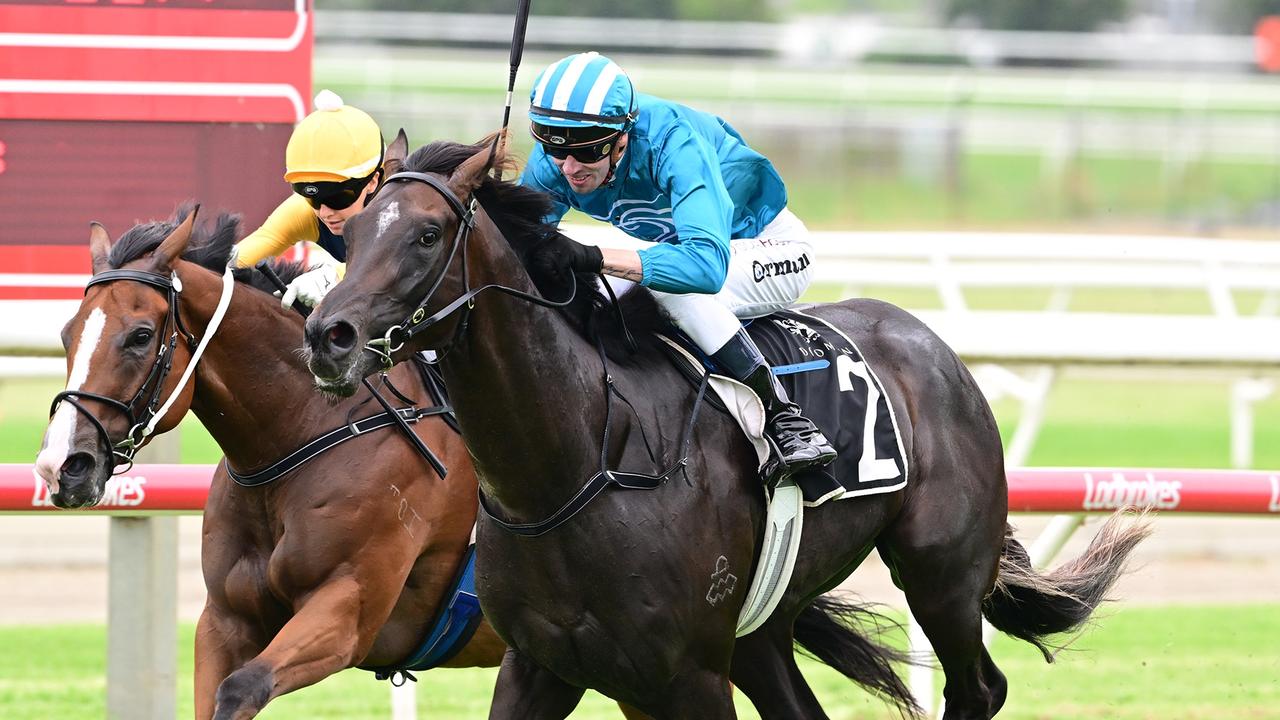 Supplied Editorial Fukubana wins at Doomben to showcase his enormous talent for trainer  Matt Dunn and jockey Jimmy Orman. Picture: Grant Peters, Trackside Photography.