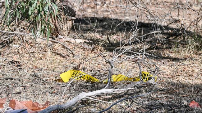 It comes after a bombshell link was revealed between a key suspect’s family member and a member of the Beaumont family. Picture: NewsWire / Brenton Edwards