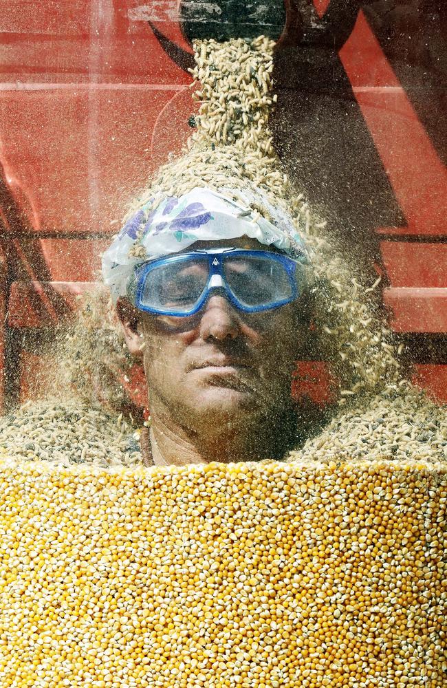 Shane Warne has to keep his cool in the critter-filled tank for 12 long minutes. Picture: Nigel Wright/Ten