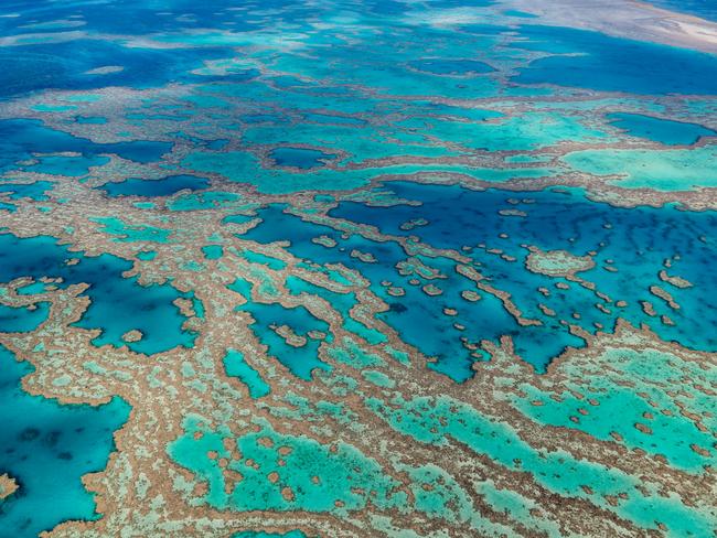 Snorkeler flown to hospital from Great Barrier Reef