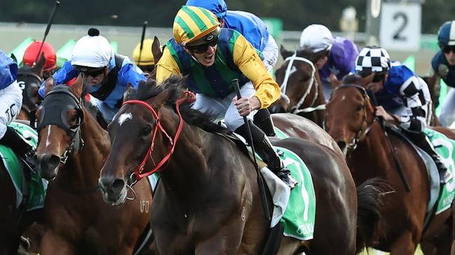 Ceolwulf, pictured winning the Epsom Handicap, is one of the key chances in Saturday’s Group 1 King Charles III Stakes. Picture: Jeremy Ng / Getty Images