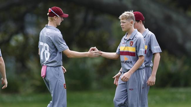 Stockton celebrate a wicket. Picture: Michael Gorton