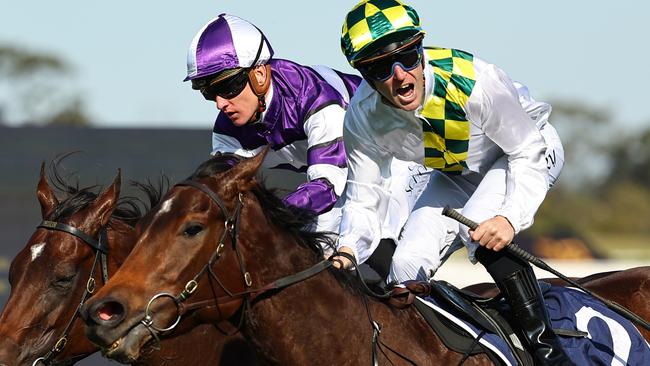 Sunshine In Paris lines up in next Saturday’s The Everest. Picture: Jeremy Ng-Getty Images