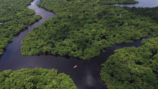 British woman who vanished from the Amazon is feared to have been ...