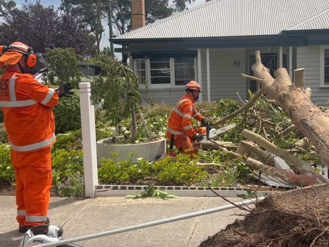 SES crews use a chainsaw on a fallen tree at a home in Belmont. Photo: Brad Fleet.