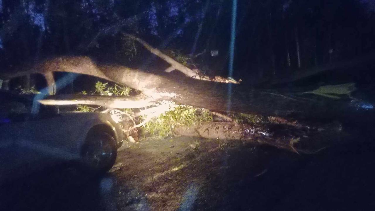 A “huge” tree had fallen across Neerdie Rd. Picture: Picture: Gemma Rayner, Dec 26, 2023