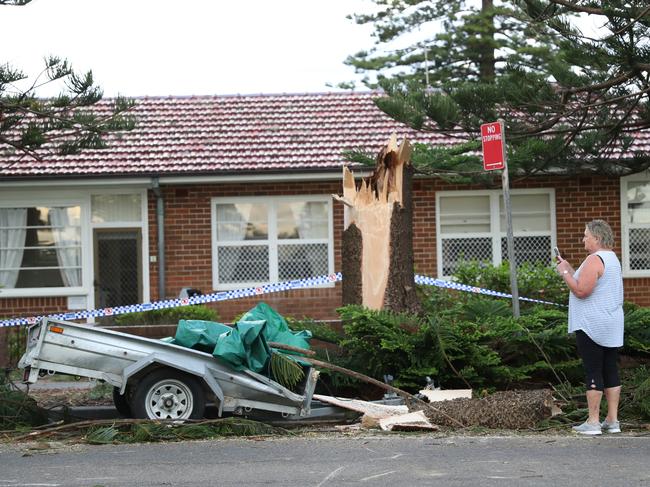 The storm caused major damage, felling trees that crushed anything in their path. Picture: John Grainger