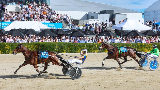 Swayzee wins the NZ Cup. Picture: HRNZ