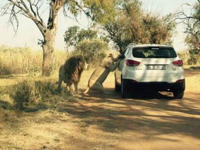 Disturbing: The photo that captures the moment before fatal attack. Picture: featureworld.co.uk