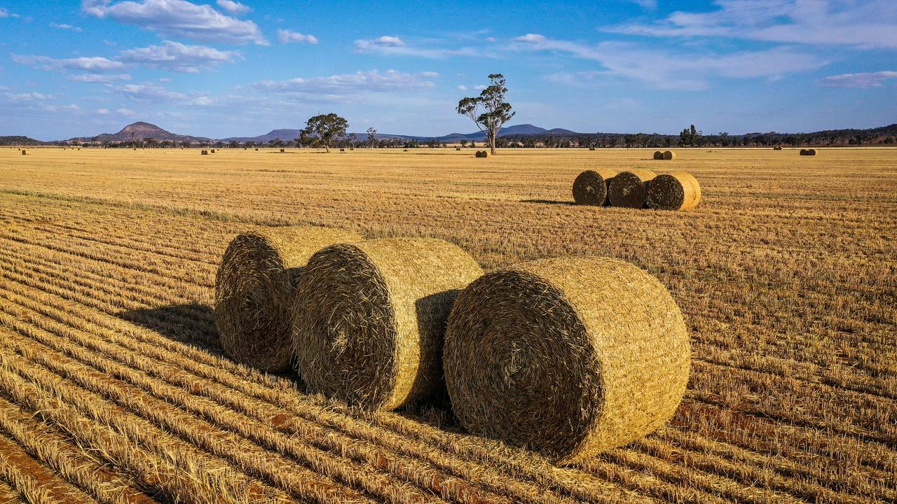 agribusiness-rabobank-report-says-farmland-price-growth-to-slow-the