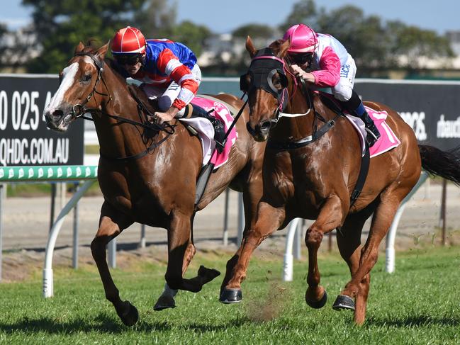 Winner of race 4 Tisani Tomso risen by Sheriden Tomlinson at the Gold Coast Races. (Photo/Steve Holland)