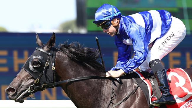 Wymark has emerged as a late Derby contender. Picture: Jeremy Ng/Getty Images