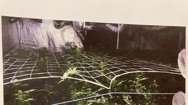 Court released photos taken inside a grow house raided by police during Operation Ironside resolution day in June this year. Tyler Brook was arrested at the scene and charged with tending the drug crop. Picture: SA District Court