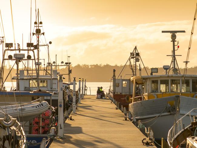 Boats at St Helens, East Coast, Tasmania