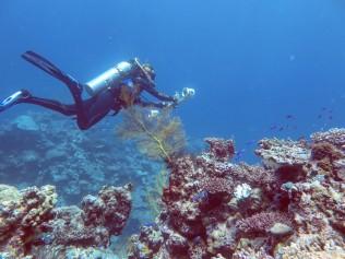 Dr Lester in Rowley Shoals off the coast of Broome.