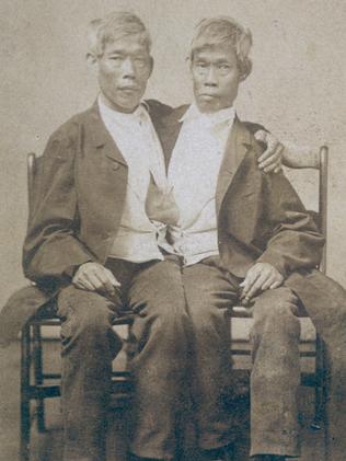 New book details the fruitful sex lives of the original Siamese twins ...