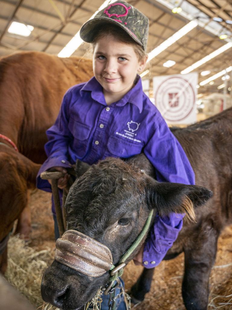 Alannah McCutcheon from Jambili south devon stud with a calf named Tuinui at the 2022 Toowoomba Royal Show. Friday, March 25, 2022. Picture: Nev Madsen.