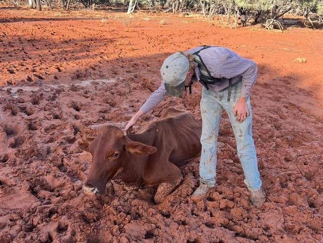 Quilpie farm flood