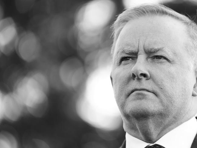 Anthony Albanese is the Left faction candidate vying to be the next Labor leader. Picture: Mark Metcalfe/Getty Images