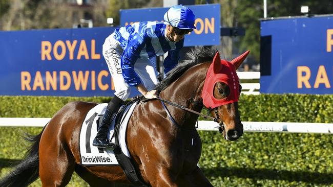 There There can break through for her first win at Canterbury on Wednesday. Picture: Bradley Photos