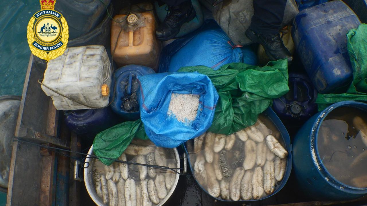 Most fishermen are harvesting trepang, also known as sea cucumber. Picture: Australian Border Force