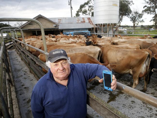 Dairy farmer Kelvin Trotman, "Auburn Vale", Won Wron,   Picture Yuri Kouzmin