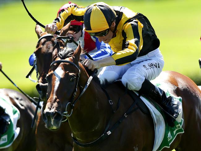 James Innes (white cap) rides ANDSOITISWRITTEN down the outside to beat the favorite CHEEKY BABE ridden by Blake Shinn (yellow/black cap ) at Canterbury Racecourse , Canterbury.Picture Gregg Porteous