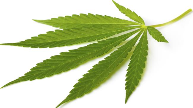 Medicinal cannabis is used to treat or provide pain relief for various conditions. Picture: THINKSTOCK