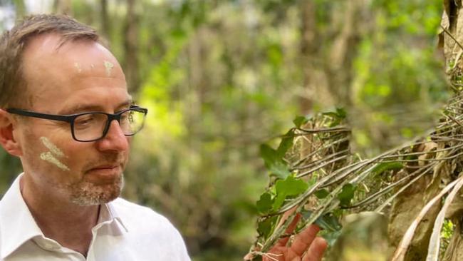 David Shoebridge protesting with the local indigenous population against logging in Nambucca state forest. Picture: Twitter