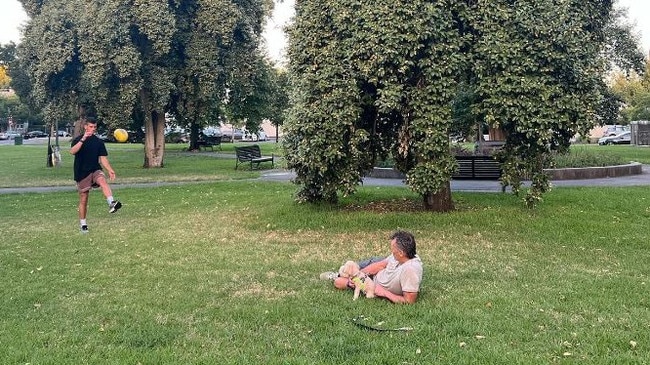 Nick Daicos kicking the ball about with father Peter in the park is a family habit.