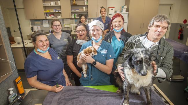 Number 4: The team at Whittlesea’s The Vet Practice. Picture: Rob Leeson.