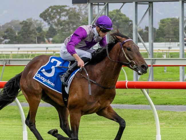 Callan Murray steers Call Me Vexatious to victory at Morphettville. Picture: Makoto Kaneko