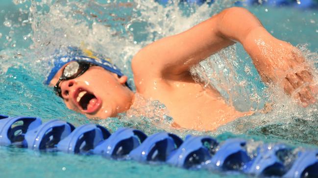 Gympie region champions of the pool: Will Reeman from the Gympie Gold Fins. Photo: Contributed