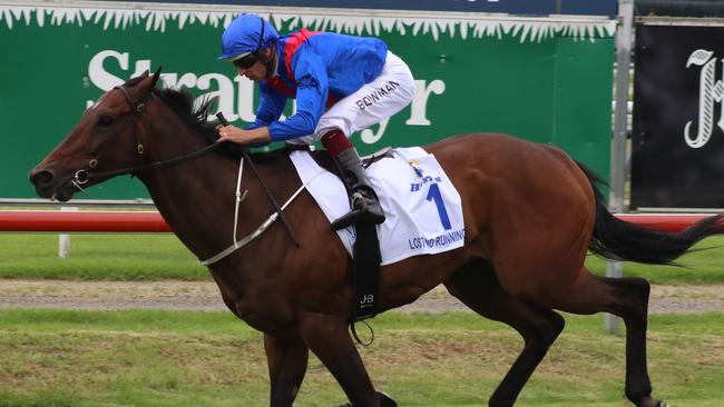 Lost And Running is the one to beat in the Premiere Stakes. Picture: Grant Guy