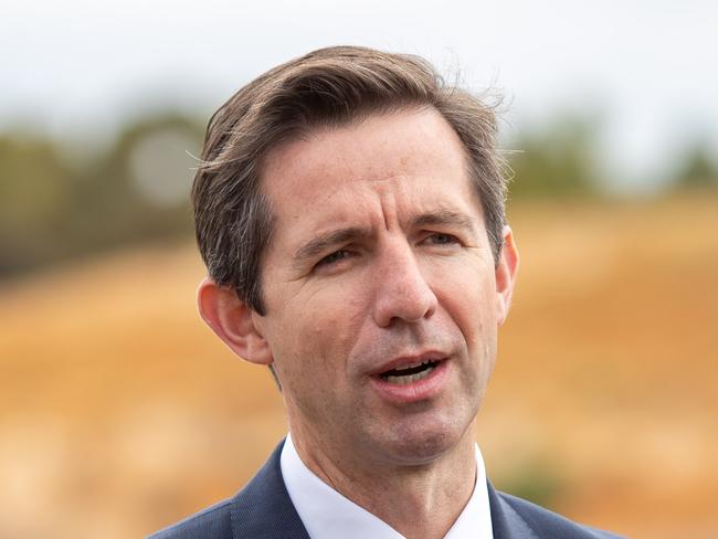 Federal Minister for Trade, Tourism and Investment Simon Birmingham speaks to media during a press conference announcing Australia's first compressed air energy storage project at Angas Zinc Mine near Strathalbyn, South Australia, Friday, February 8, 2019. (AAP Image/James Elsby) NO ARCHIVING