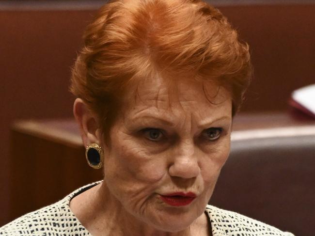 ‘Apartheid’: Hanson’s extraordinary speech