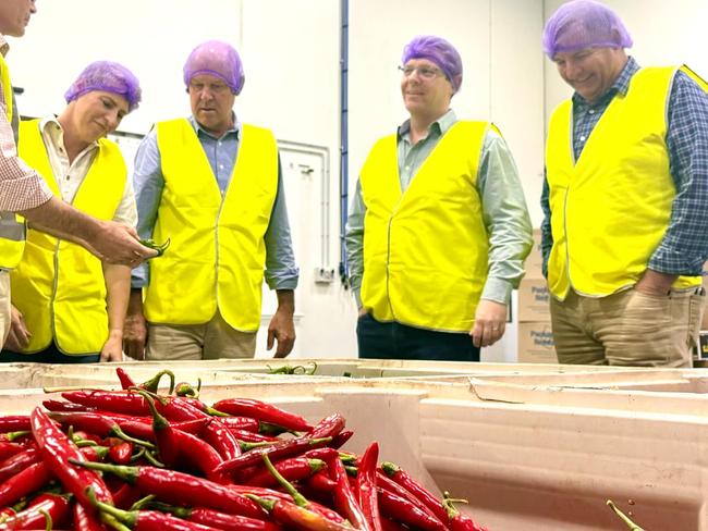 Primary Industries Minister Tony Perrett discusses Queensland’s 25-year agriculture blueprint during his visit to Bundaberg.