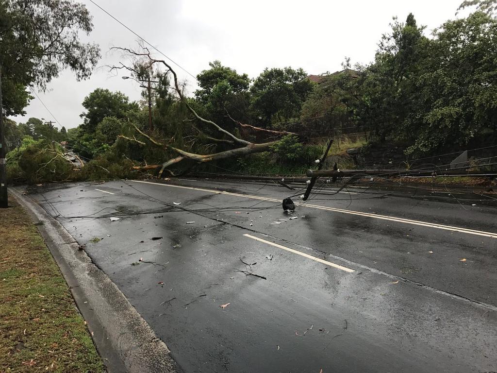 CASTLE COVE: Eastern Valley Way is closed in both directions at Boundary St due to a fallen tree and wires. Picture: Twitter / Live Traffic Sydney