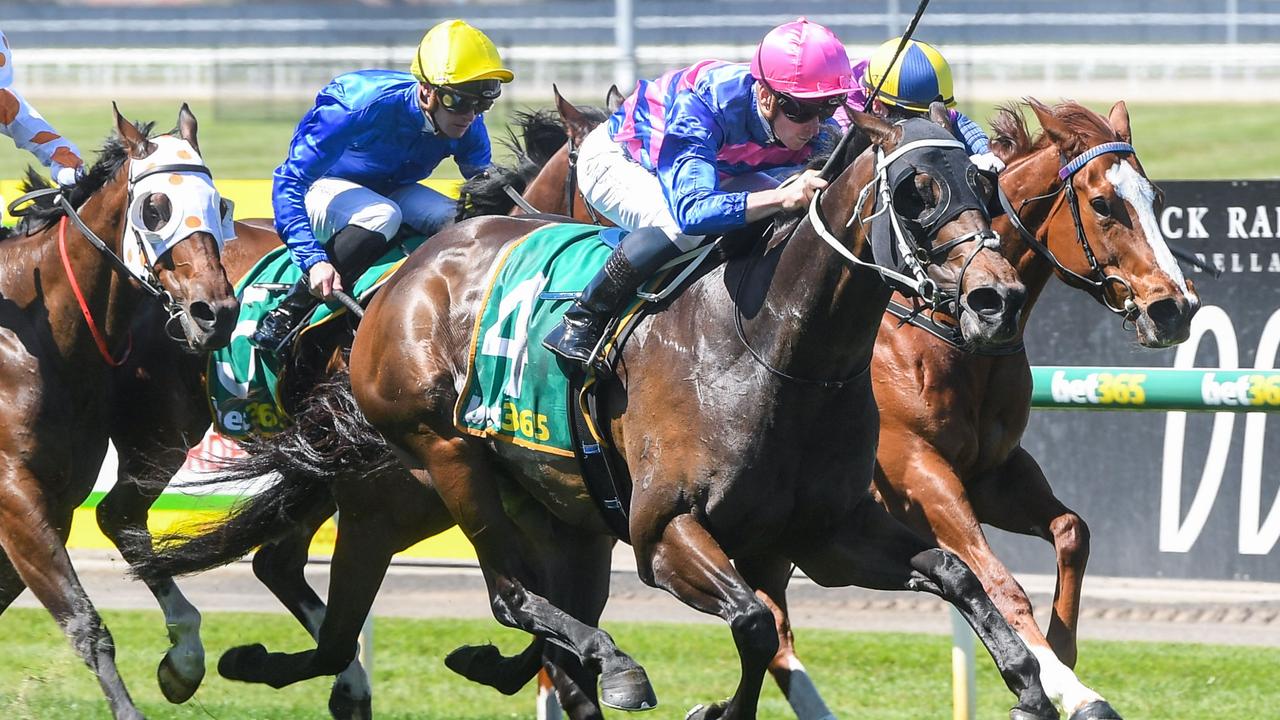 Geelong Cup All results from the day of racing Geelong Advertiser