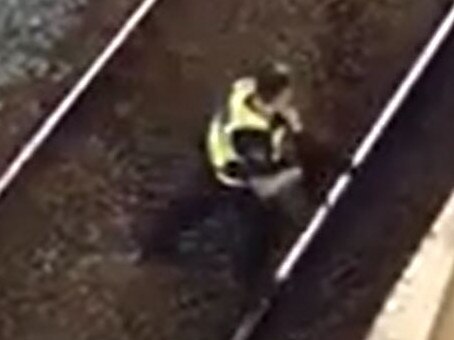 Video shows the moment the cat was collected from the tracks by a PSO.