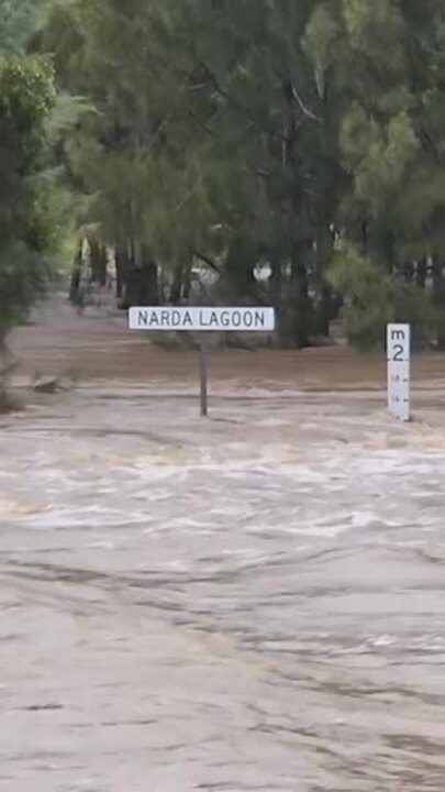 Laidley Flooding 2025: Narda Lagoon 8.50am