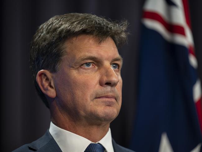 Angus Taylor, Australia’s Minister for Industry, Energy and Emissions Reduction. Picture: NCA NewsWire / Martin Ollman