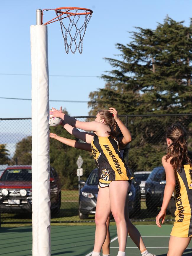 Bannockburn's Mikaela Minns gets her hands to the ball. GDFNL North Geelong v Bannockburn netball. Picture: Alan Barber