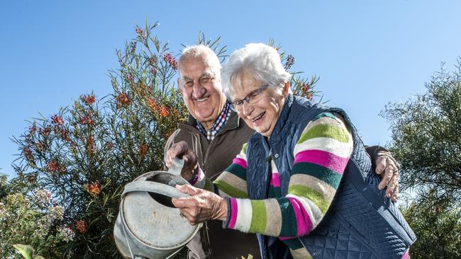 ‘Incredible’: Couple’s enchanting three level garden in full bloom