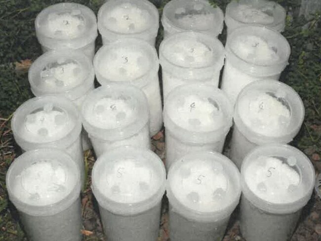 Buckets of ketamine seized by AFP, found in cement shipped from overseas.