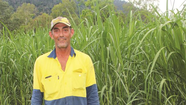 Cane farmer Bill Holding, whose roots in the Mt Pelion region go back to his grandfather, who immigrated from Scotland.