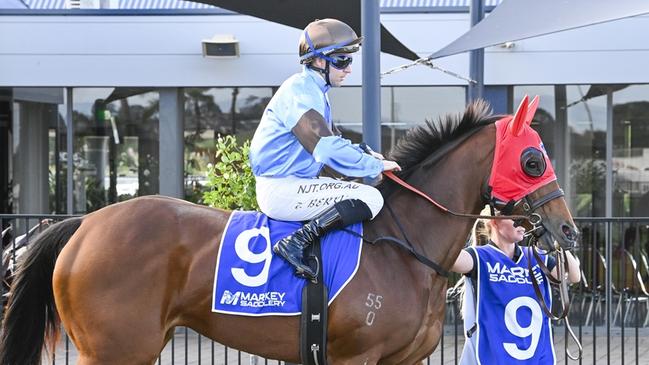 Me Me can break through for her first win. Picture: Bradley Photos