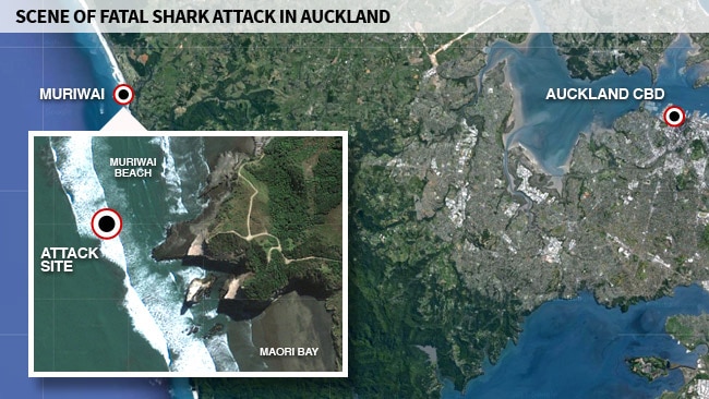 Muriwai shark attack map