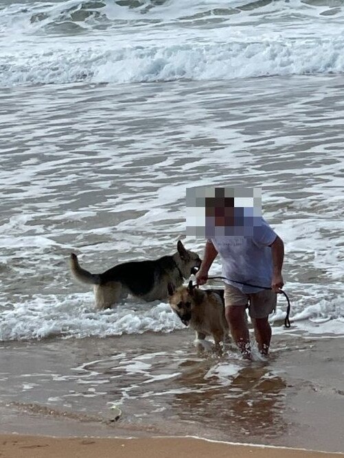 Two german shepherds, with a man believed to their owner, which are alleged to attacked and bitten a man on Narrabeen Beach on July 24, 2022. Picture: Supplied