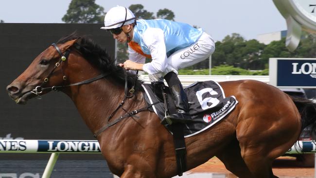 Trainer David Payne's talented mare Montefilia looks a great chance in Tuesday's Melbourne Cup. Picture: Grant Guy